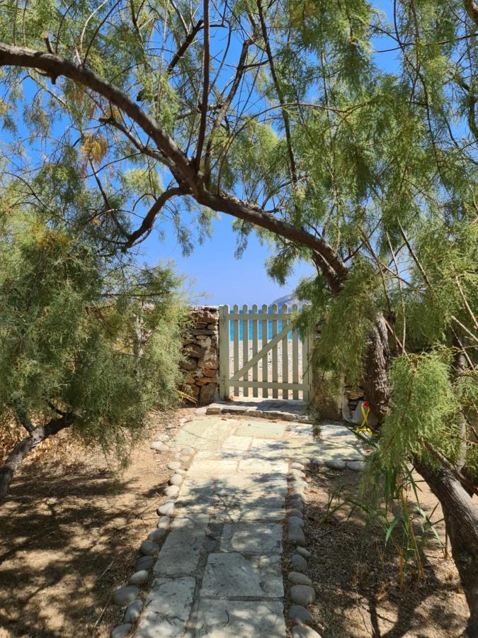 Nature Eco Living Serifos Livadi  Bagian luar foto